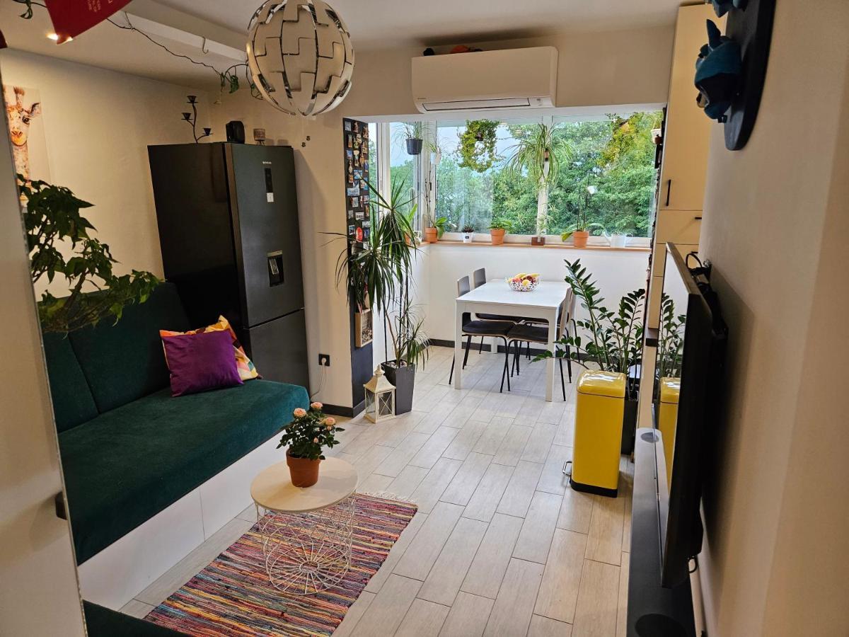Carnevalus Apartment *