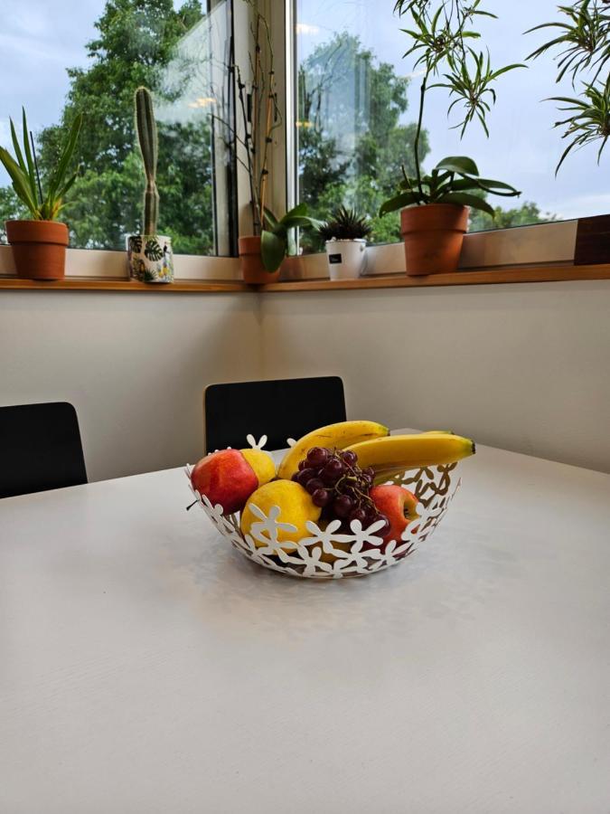 Carnevalus Apartament *