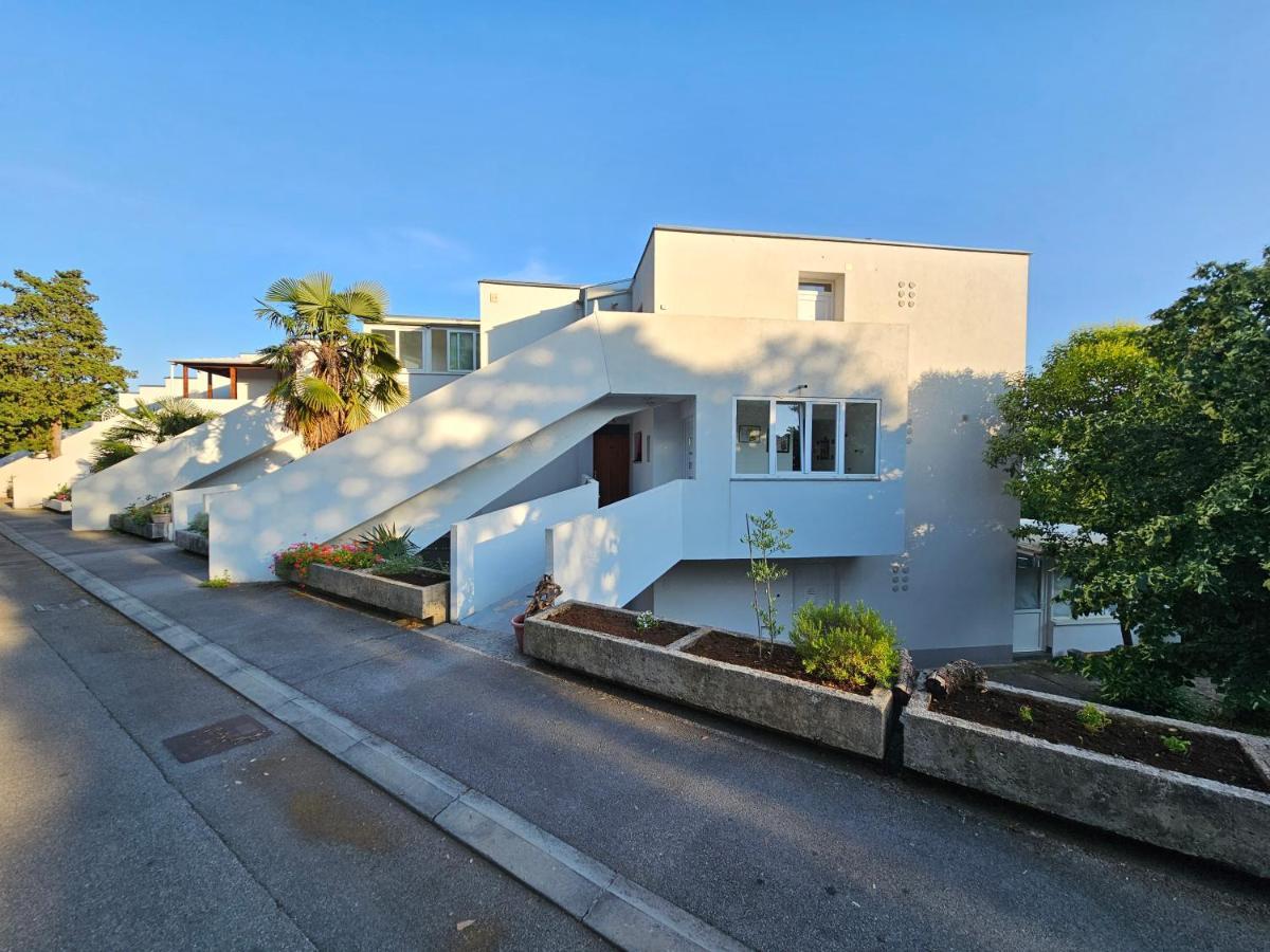 Apartament Carnevalus *